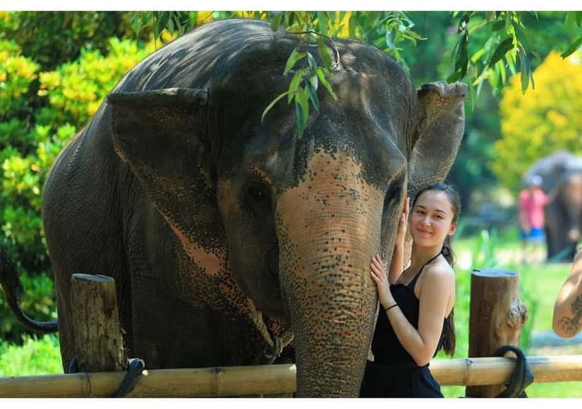 Phuket: Bamboo Rafting & ATV Ride (Optional) - Price and Value: Is $54 a Good Deal for This Much Day?