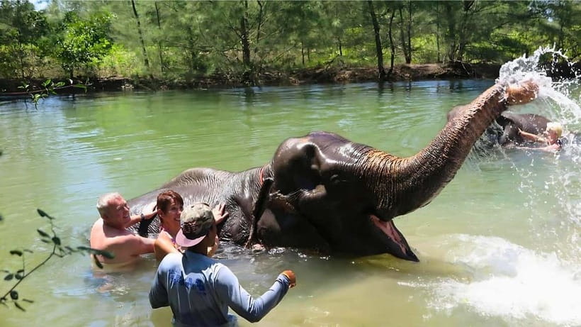 Phuket: Bamboo Rafting & ATV Ride (Optional) - Turtle Conservation Centre: Close-Up Without the Chaos