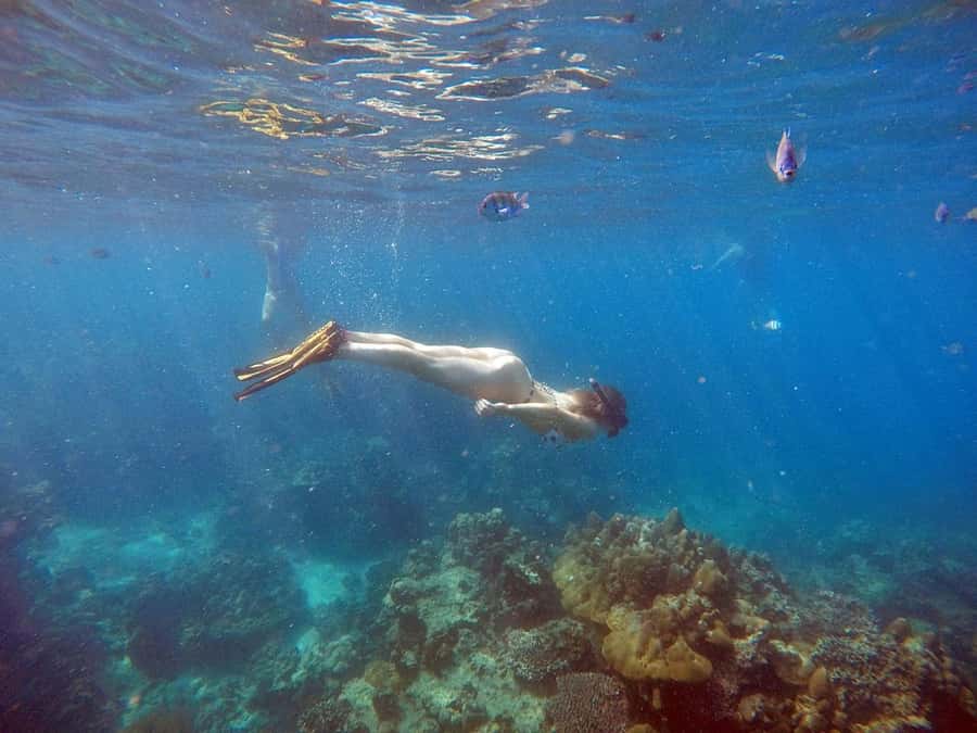 Phuket: Deluxe Phi Phi Tour by Speedboat & Lunch Buffet - Speedboat comfort and hotel logistics in Phuket