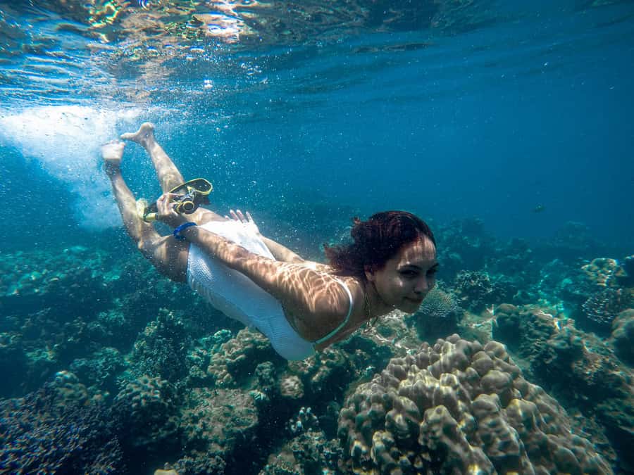 Phuket: Deluxe Phi Phi Tour by Speedboat & Lunch Buffet - Phi Phi Don lunch: more than just food, it’s your reset