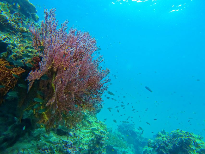 Phuket: Deluxe Phi Phi Tour by Speedboat & Lunch Buffet - Nui Bay and Camel Rock: the scenery you catch from the boat