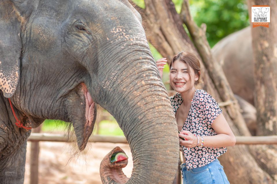 Phuket: Elephant Jungle Sanctuary Ethical Feeding Experience - Elephant Jungle Sanctuary Phuket’s Feed Me vibe: ethical, simple, and close