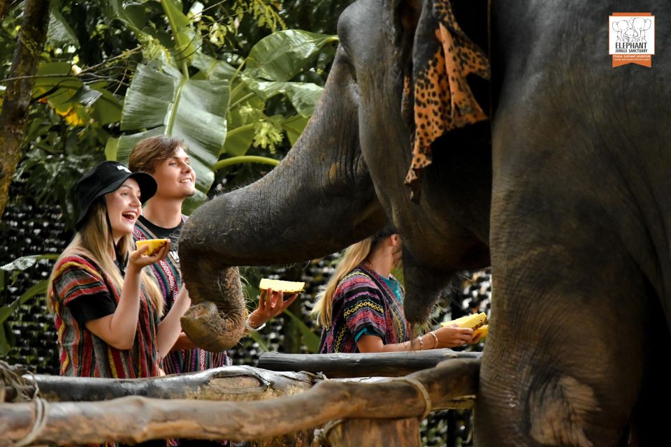 Phuket: Elephant Jungle Sanctuary Ethical Feeding Experience - The “Feed Me” session: your guided 60-minute flow