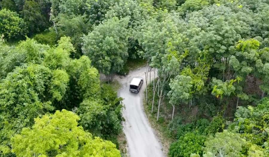 Phuket: Elephant Sanctuary Canopy Walkway Tour - Should you book the Phuket Elephant Sanctuary Canopy Walkway Tour?