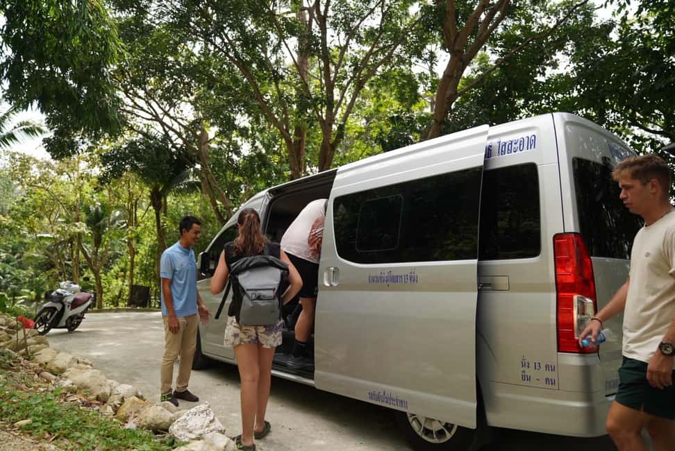 Phuket: Elephant Sanctuary Guided Tour with Hotel Transfers - What the one-hour sanctuary visit feels like