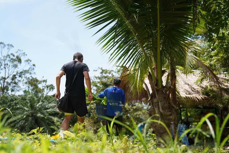 Phuket: Elephant Sanctuary Guided Tour with Hotel Transfers - The guide’s role: stories, behavior, and conservation context