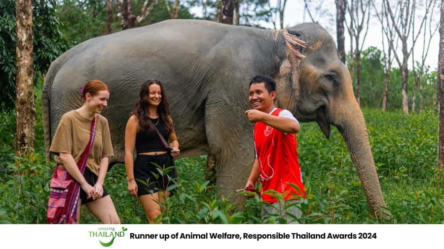 Phuket: Elephant Sanctuary Tour, Cooking Class & Lunch - Key takeaways before you go