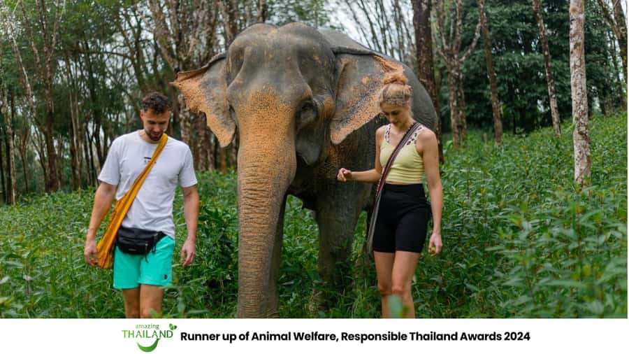 Phuket: Elephant Sanctuary Tour, Cooking Class & Lunch - Your guide and the sanctuary’s welfare-first approach