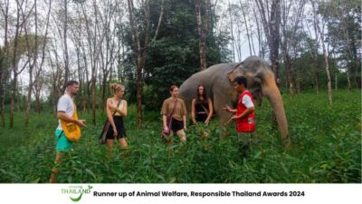 Phuket: Elephant Sanctuary Tour, Cooking Class & Lunch - Phuket to Khao Lak: the long drive that actually helps