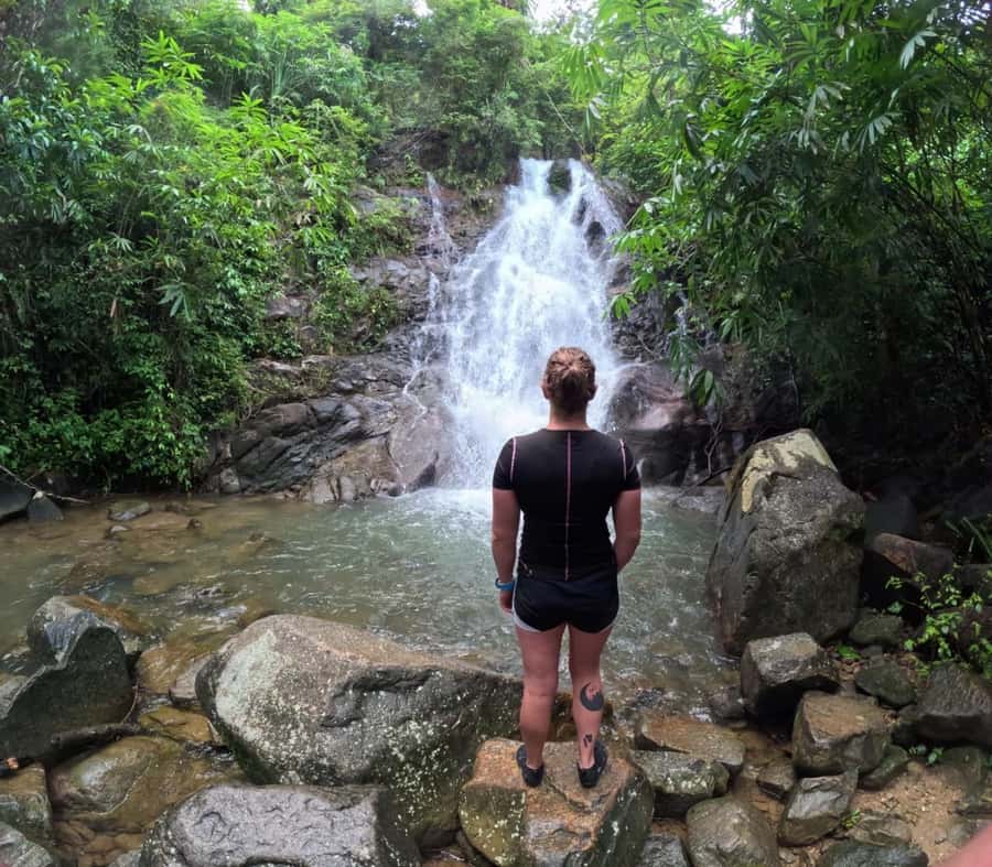 Phuket: Elephant Sanctuary Tour, Cooking Class & Lunch - River bathing watching: comfort first, privacy second