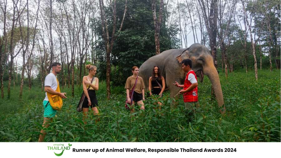 Phuket: Elephant Sanctuary Tour, Cooking Class & Lunch - Phuket to Khao Lak: the long drive that actually helps