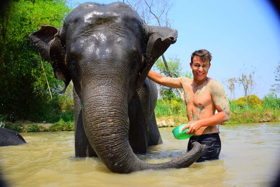 Phuket: Elephant Save & Care Program Tour - Why this Phuket elephant care program feels more “hands-on” than a show