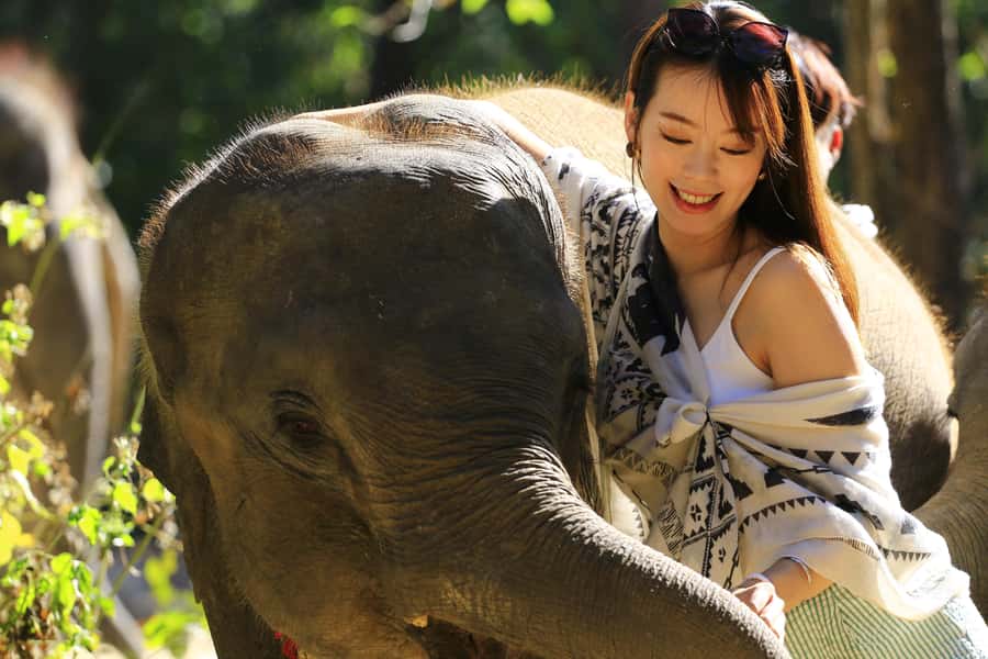 Phuket: Elephant Save & Care Program Tour - Lunch box timing, what you’ll eat, and how the day ends
