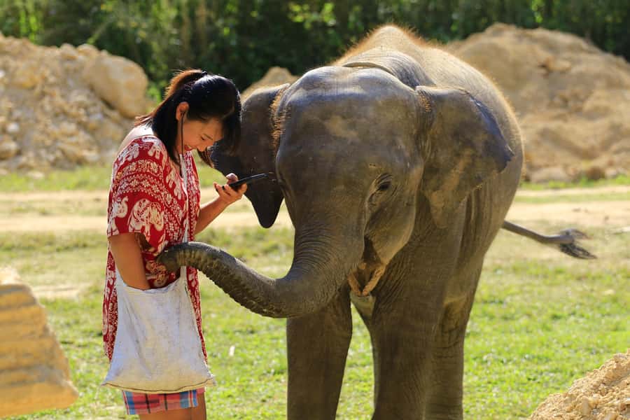 Phuket: Elephant Save & Care Program Tour - Who should book this tour, and who should think twice