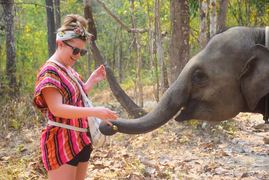 Phuket: Elephant Save & Care Program Tour - Practical tips that make the mud and pool part painless