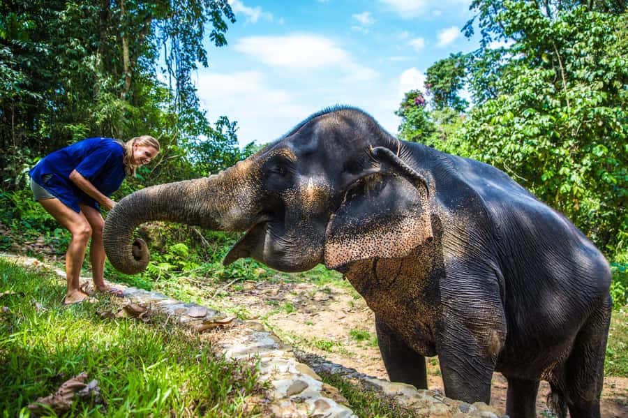 Phuket: Ethical Elephant Sanctuary Experience - Key things I think you’ll care about