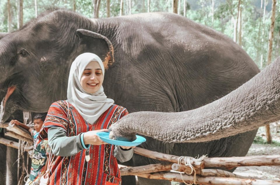 Phuket: Half Day or 2-Hour Ethical Elephant Care Sanctuary - Who this elephant sanctuary experience is best for