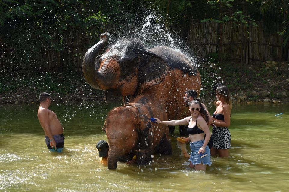 Phuket: Half Day or 2-Hour Ethical Elephant Care Sanctuary - The flow of the day: pickup, food prep, and first elephant time