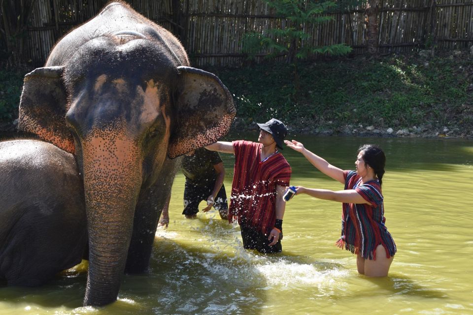 Phuket: Half Day or 2-Hour Ethical Elephant Care Sanctuary - Feeding elephants by hand: what to focus on