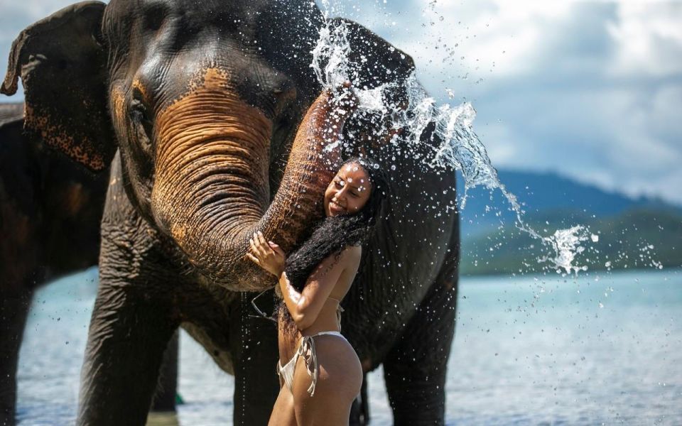 Phuket: Lily Elephant Half day Trip on the Beach with lunch - Value Check: Is $83 a Fair Price for This Much Care?