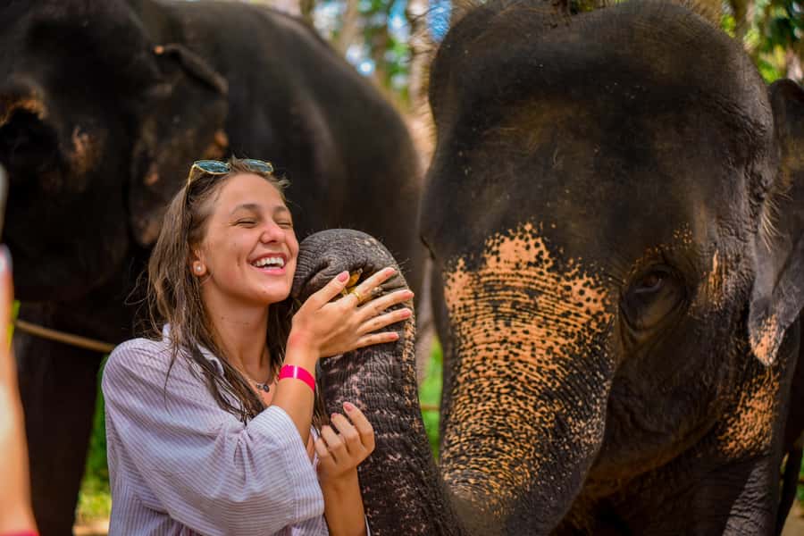 Phuket: Lily Elephant Half day Trip on the Beach with lunch - Preparing Elephant Food: The Lesson Hidden in Meal Prep