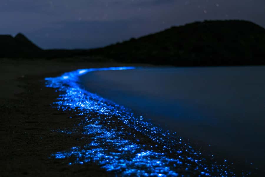 Phuket: Phang Nga Bay Bioluminescent Plankton and Sea Canoes - James Bond Island Timing: Photos When It’s Quieter