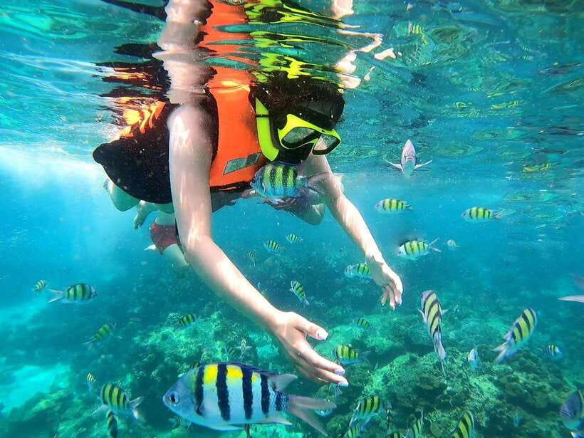 Phuket: Phi Phi Islands and Maya Bay Day Trip with Lunch - Khai Islands: White Sand, Snorkeling, and Stand-Up Paddle Time