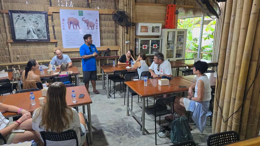 Phuket: Phuket Elephant Care Sanctuary ECO Tour - Price and Value: What $70 Really Buys You