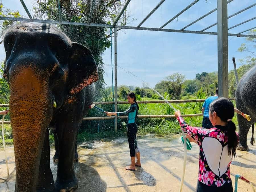 Phuket: Phuket Elephant Care Sanctuary ECO Tour - What to Bring (and What Will Annoy You if You Forget It)