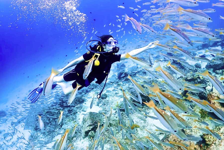 Phuket: Scuba Diving Maithon Or Racha Islands For All Levels - Why Racha and Maiton feel better than the typical Phuket schedule