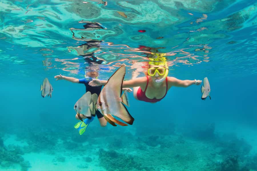 Phuket: Similan day full day trip by speedboat - Key Things To Know Before You Go