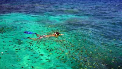 Similan Islands Early-Bird Tour From Phuket and Khao Lak! - Phuket vs Khao Lak pickups: travel time really changes the day