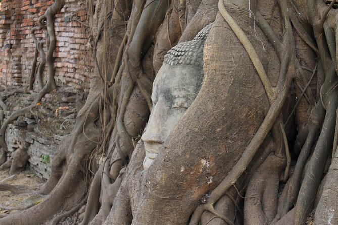Small Group Tour to Ayutthaya Temples from Bangkok with Lunch - Wat Mahathat: the Buddha head wrapped in bodhi tree roots