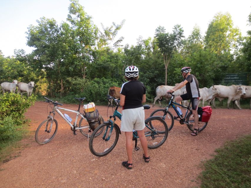 Sukhothai: Historical Park & Countryside Cycling Tour - Key highlights at a glance